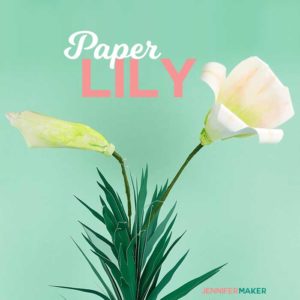 Download Diy Paper Flowers The Best Free Tutorials Patterns Videos Jennifer Maker