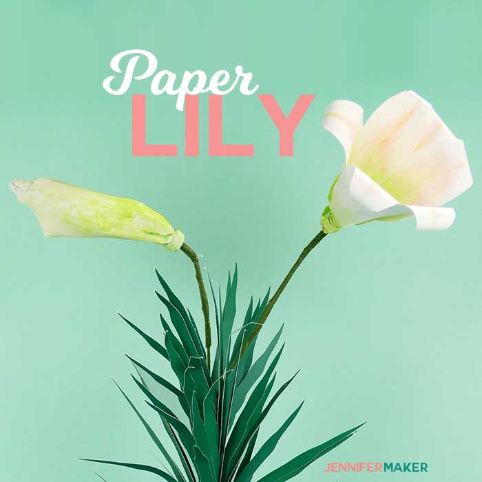 Download Make Paper Lily Flowers To Celebrate Spring Jennifer Maker 3D SVG Files Ideas | SVG, Paper Crafts, SVG File