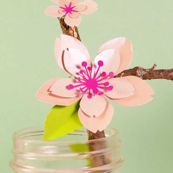 Paper cherry blossom flowers made with shimmer cardstock | Free SVG cut files and PDF patterns