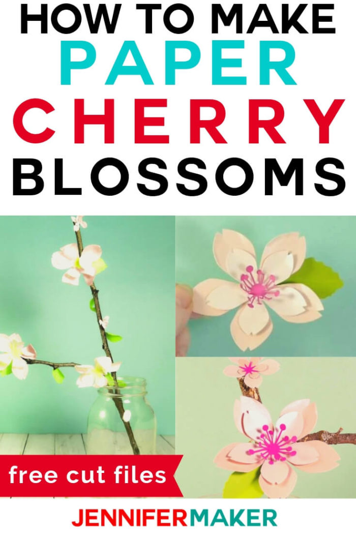 Paper cherry blossoms are the perfect way to bring spring indoors and enjoy these flowers for months. #cricut #cricutmade #cricutmaker #cricutexplore #svg #svgfile