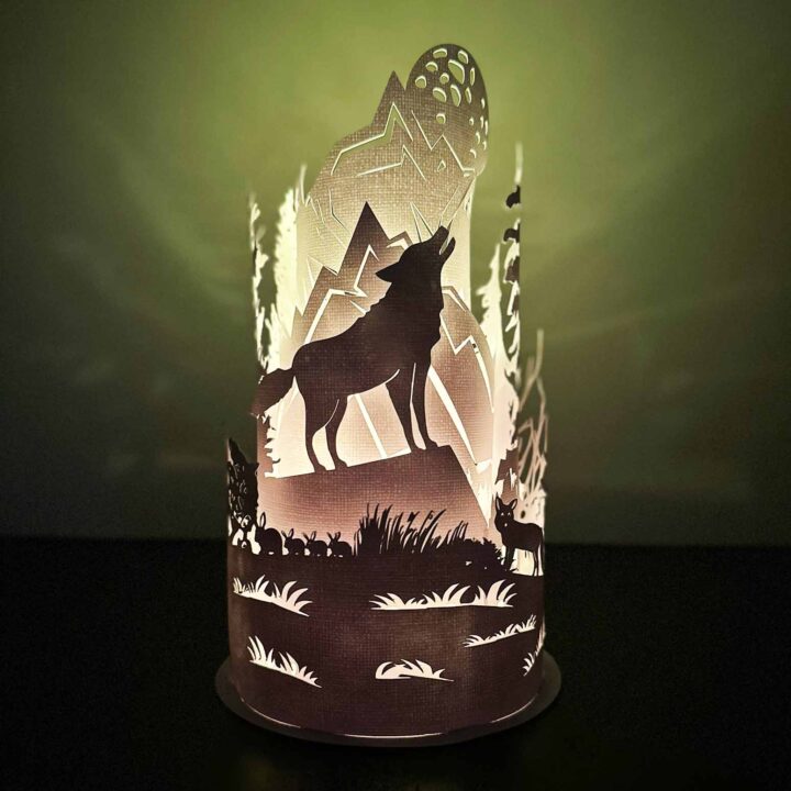 Enchanting 3D Scenes Are Illuminated Inside Paper Light Boxes