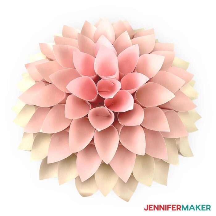 A cone petal paper dahlia in shades of pink and white.