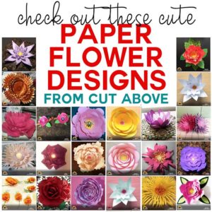 Paper Flower Designs That Will Blow You Away! - Jennifer Maker