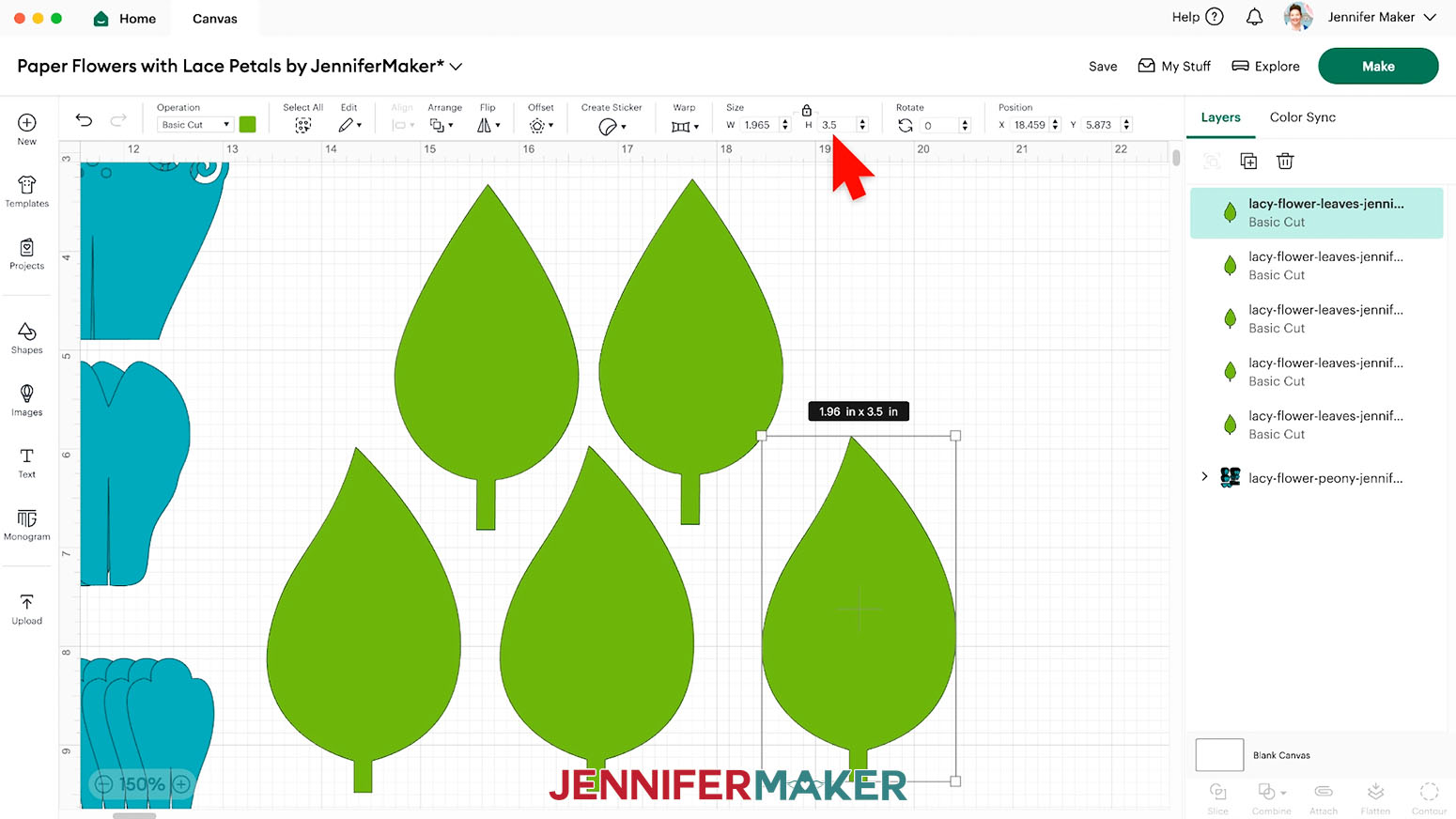 Resize the leaves to 3.5 in height to be more proportional to the peony flower.