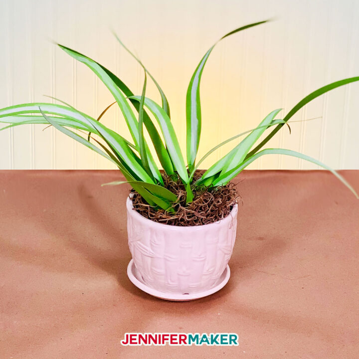 A spider plant made from paper (cardstock) in a white planter