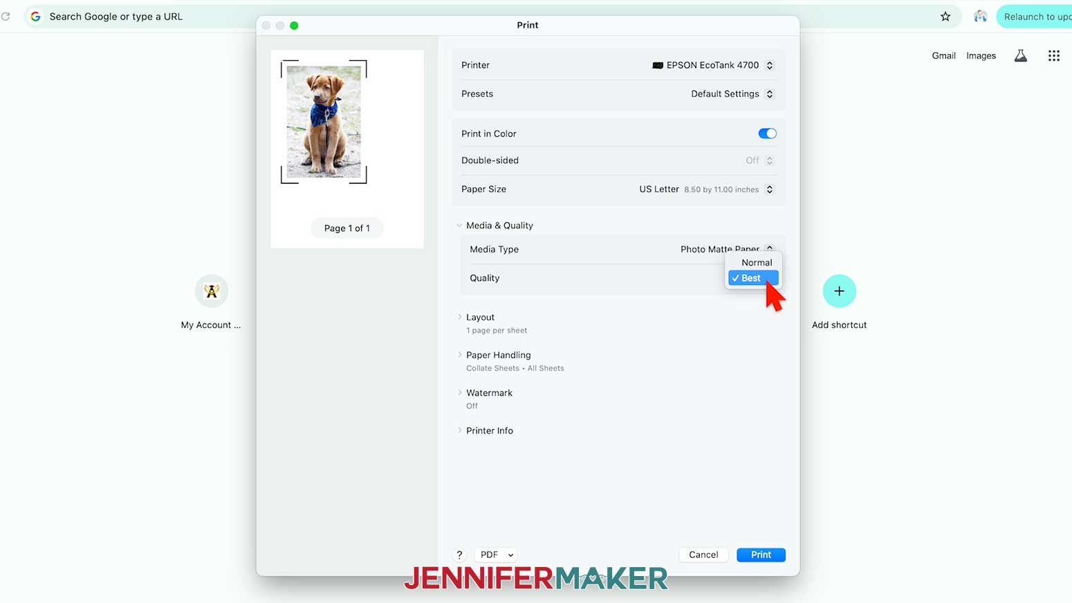 In the System Dialog Box, make sure the correct printer is selected, change the Media Type to &ldquo;Photo Matte Paper&rdquo; and the Quality to &ldquo;Best,&rdquo; or whichever settings are closest to these.