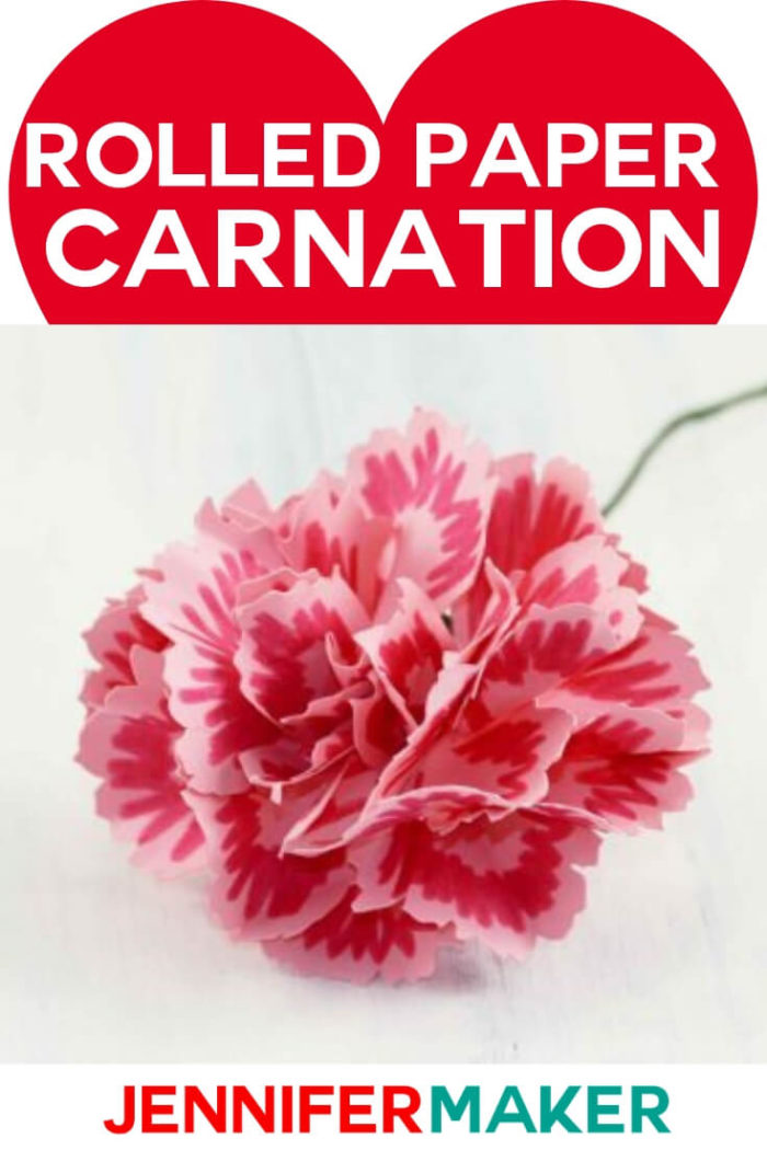 Make a pretty rolled paper carnation, complete with sepal and stem! Every petal is unique in the free pattern and SVG cut file. #cricut #cricutmade #cricutmaker #cricutexplore #svg #svgfile