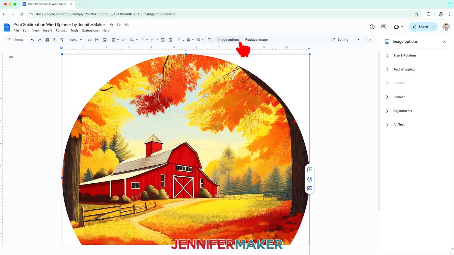 Click on the Image Options link to open the customizing tools.