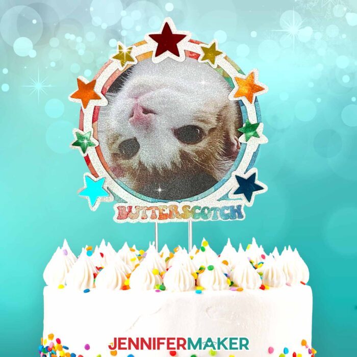 Decorative cake topper with a photo of a cat printed on glitter cardstock.