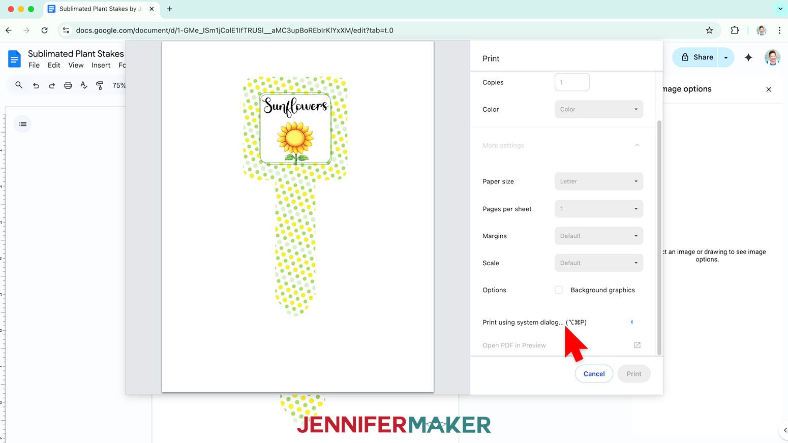 Click Print Using System Dialogue to see advanced print settings for the sublimation garden stake.