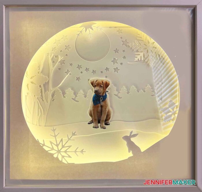 Photo of a puppy in a lighted shadow box with a winter scene